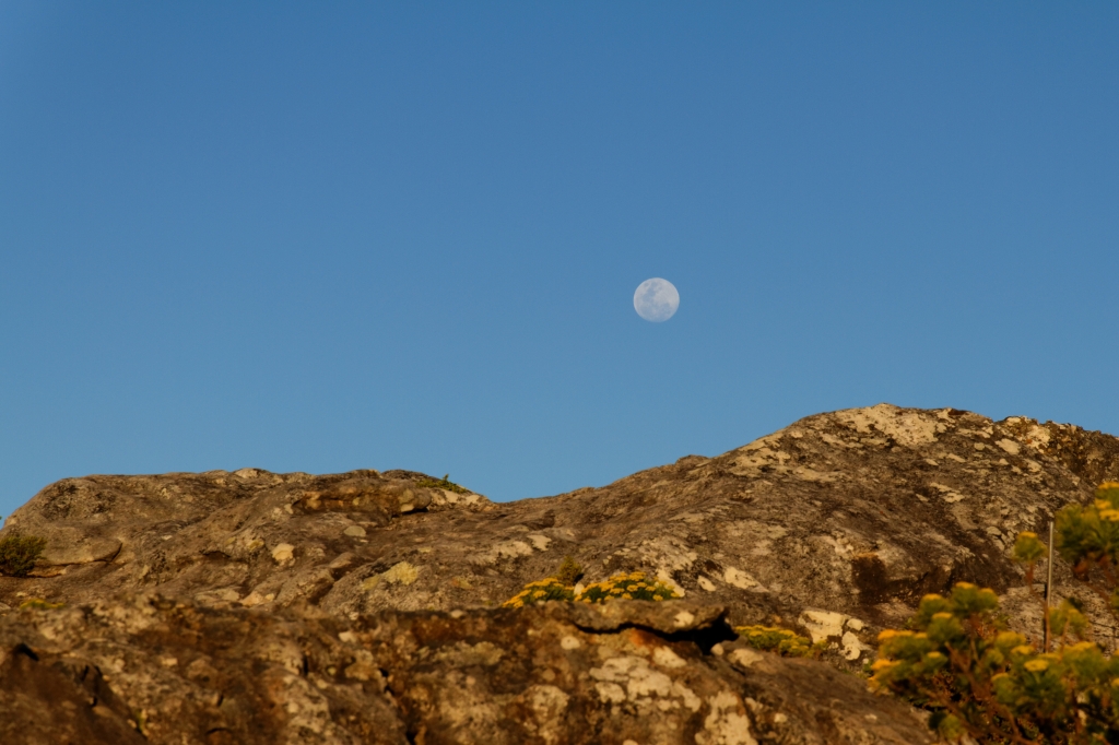 00 - Le Cap (49).jpg